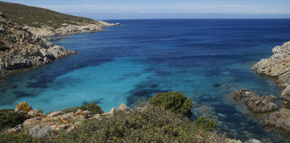 Asinara Island sardinia